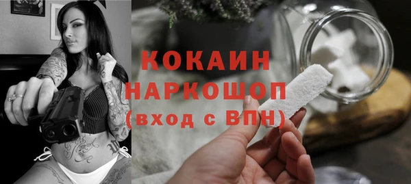 прущие грибы Армянск