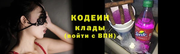прущие грибы Армянск