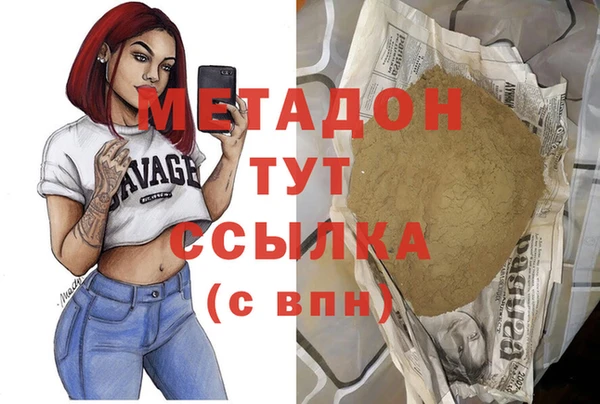 прущие грибы Армянск