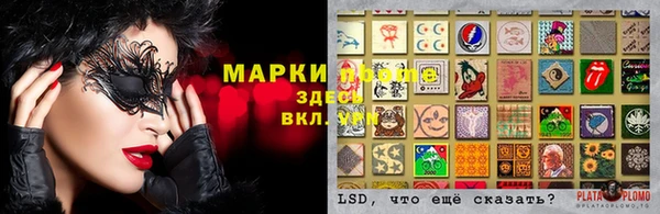 прущие грибы Армянск