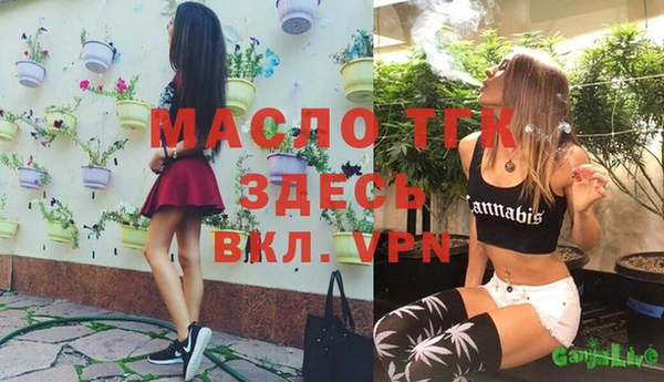 прущие грибы Армянск